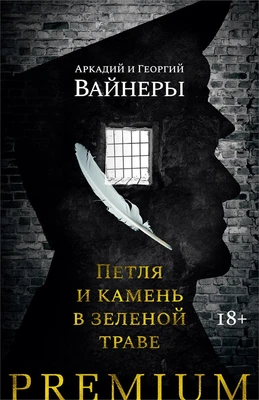 Петля и камень в зеленой траве 39549923