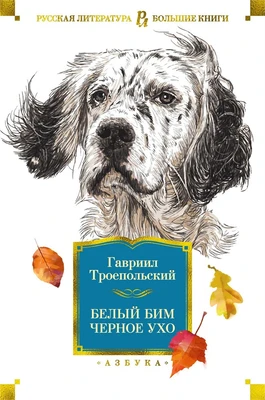Белый Бим Черное ухо (Русская литература. Большие книги) 219431977