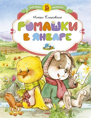 Ромашки в январе 676962474