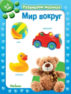 Мир вокруг. Развиваем малыша (0-1 год) (мягкая обложка) 1166117047