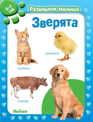 Зверята. Развиваем малыша (0-1 год) (мягкая обложка) 226900048