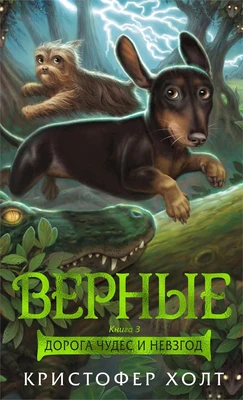Верные. Книга 3. Дорога чудес и невзгод 1753267549