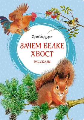 Зачем белке хвост. Рассказы 1014458326