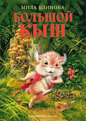 Большой Кыш 1529470101