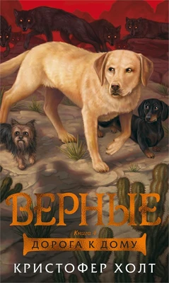 Верные. Книга 4. Дорога к дому 1426541647