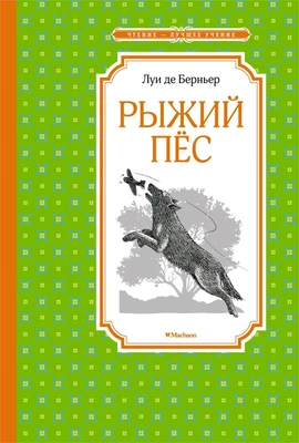 Рыжий пёс (илл) 355879689