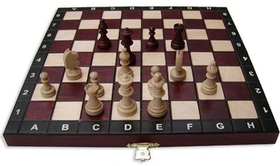 Шахматы "Магнит" (Польша, дерево, 27х13,5х4см), Madon 216947848