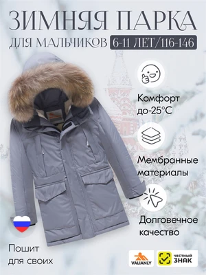 Куртка парка зимняя детская подростковая для мальчика с капюшоном и мехом серого цвета 9441Sr 1047365825