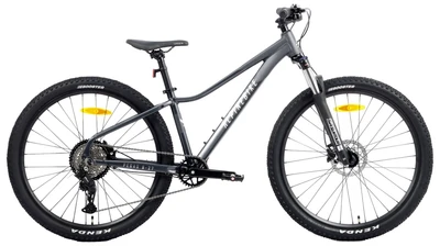 Горный велосипед Alpinebike Pegas 27 8 ск. (2026) 872700626
