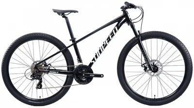 Горный велосипед Sunpeed Zero 1 29" (2024) 1524329121