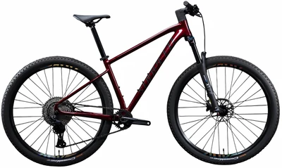 Горный велосипед Sunpeed Ace Pro 29" (2024) 467939905