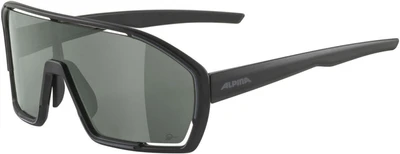 Очки Alpina Bonfire Q-Lite Hydrophobic (2025) 1866264788