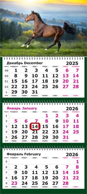 Календарь трехсекционный с магнитным курсором на 2026 год, "Символ Года. Лошадь на свободе" 1389674242