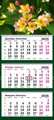 Календарь трехсекционный на 2026 год, "Тропический цветок" 1522322811
