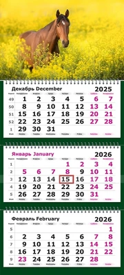 Календарь трехсекционный на 2026 год, "Символ Года, Лошадь на цветущем лугу" 1685857359