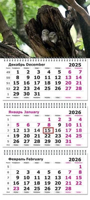 Календарь трехсекционный на 2026 год, "Совушки" 228059915
