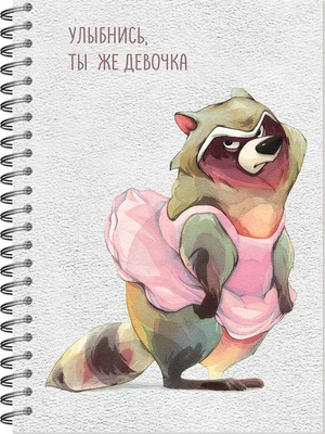 Блокнот для зарисовок SKETCHBOOK А5 с жесткой обложкой 60л. "Настроение - Енот. Улыбнись." 2045734499