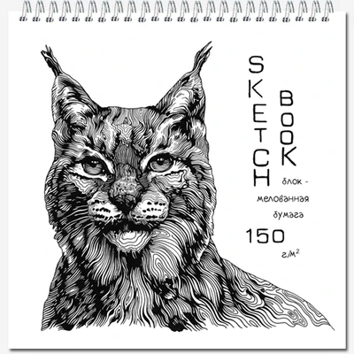 Блокнот-скетчбук QUADRO BIG SILK 40 листов на металлическом гребне 54184078