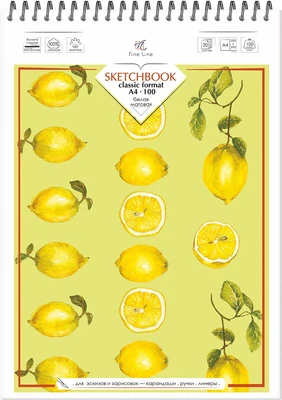 Блокнот-скетчбук SKETCHBOOK 100 А4 40 листов на металлическом гребне 400978649