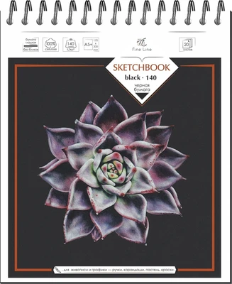 Блокнот-скетчбук SKETCHBOOK BLACK 20 листов на металлическом гребне 508205271