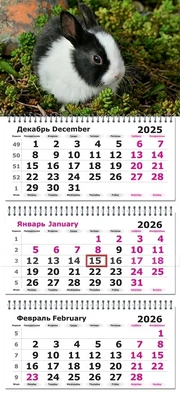 Календарь трехсекционный на 2026 год, "Милый кролик" 278239425