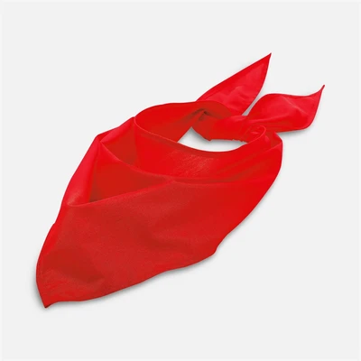 Шейный платок Bandana, красный 2030388519