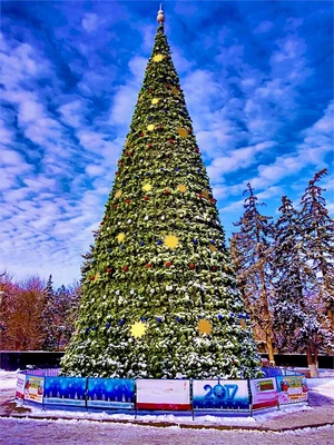 Green Trees Искусственная Ель Евро-2 хвоя пленка 5.0 м. - ЕЕ2-5.0П 923035726