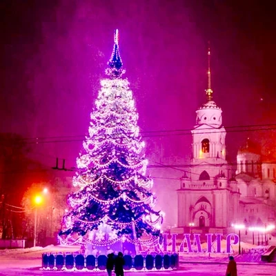 Green Trees Высотная Уличная Сосна Уральская 8.0 м. хвоя леска - СУ-800Л 1829511981