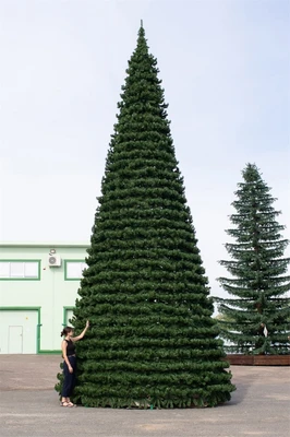 Green Trees Уличная Ель Испанская 29.0 м. хвоя пленка - КЕИ-29П 505449819