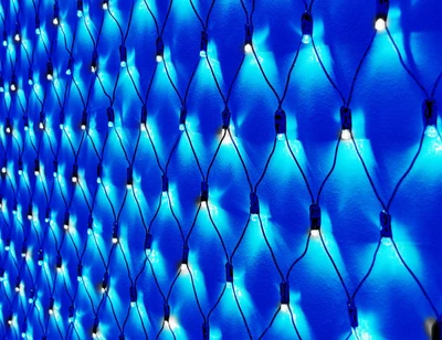 Светодиодная сеть уличная 2.5x3м. 320 синих-белых диодов Хамелеон, с мерцанием, черный каучук - 9450B/W-BK IP65 LEON LED (LIGHT) 807293342