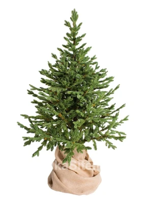 Green Trees Ель Датская Премиум 1.8 м. 1018467304