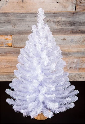Triumph Tree Ель Исландская белоснежная в мешочке 90 см. - 73817 229609379