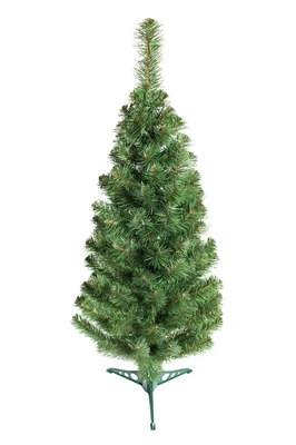 Green Trees Ель декоративная Бьюти Классик 0.6 м. 2001806750