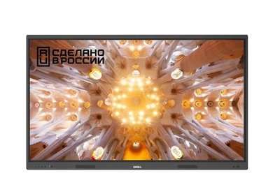 Интерактивный комплекс EXELL EXID-752-RU 100177585