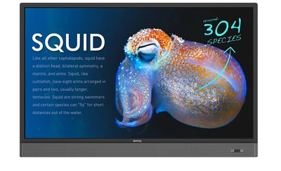 Интерактивная панель BENQ RP553K 1594166845