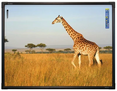 Интерактивная доска 78" ActivBoard Touch 10 касаний, ПО ActivInspire 1883436905