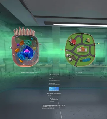 Программное обеспечение "Биология. Цитология VR 5-11 класс" Modum Lab 2015576415