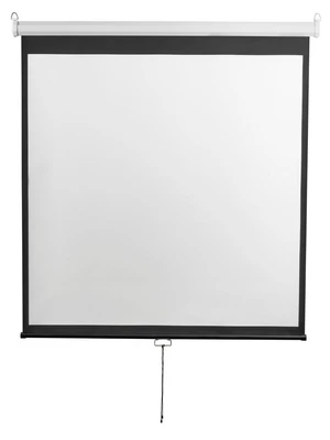 Экран настенный Digis DSOD-1108 Optimal-D (1:1) 308x309 (300x300, MW) 1102289149