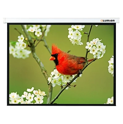 Настенный экран Lumien Master Picture LMP-100110 (4:3) 244x183 (236х175, MW) 1937110139