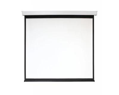 Экран с электроприводом Digis Electra-F формат 1:1 (206x209) (MW) DSEF-1106 1457175887