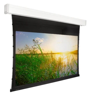 Экран с электроприводом Premier Phoenix-R (16:9) 276х276 (E 266x149/9 (MW)-PR/W) 1146401138