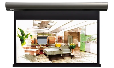Экран с электроприводом Lumien Cinema Control LCC-100113 (16:9) 243x185 (235х132, MW) 127597112