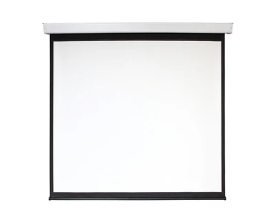 Экран с электроприводом Digis DSEF-1103 Electra-F (1:1) 156x159 (150x150, MW) 1225557665