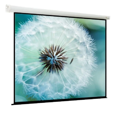 Экран с электроприводом ViewScreen Breston EBR-1109 (1:1) 220x220 (212x212, MW) 1592574433
