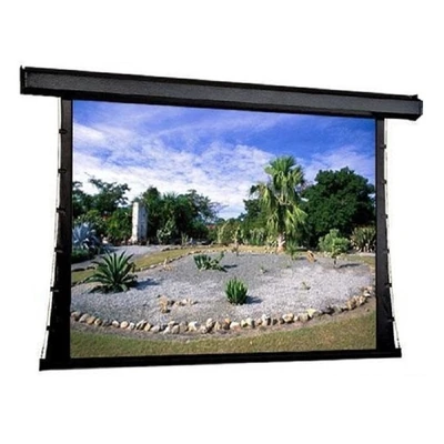 Экран с электроприводом Draper Premier HDTV (16:9) 302/119" (147x264, XH600V HDG) ebd 12" case black 1180031044