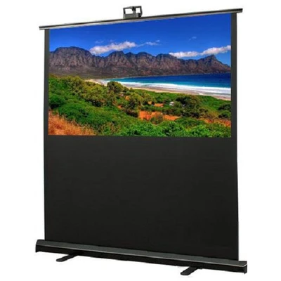 Экран мобильный Draper Traveller NTSC (4:3) 153/60" (91x122, XT1000E MW) 400726026