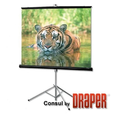 Экран на штативе Draper Consul NTSC (4:3) 183/72" (6') (108x144, XT1000E MW) 1882523189