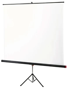 Экран на штативе 125х125 cм Braun Standard 1034078529