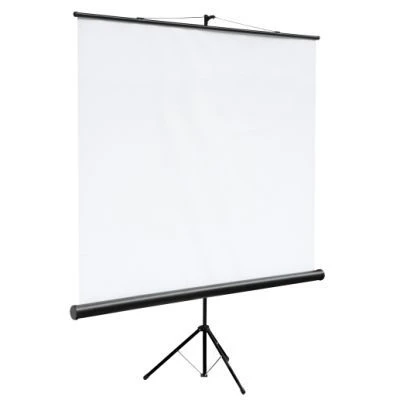 Экран на штативе 150x150 см Braun Tripod 1834276953