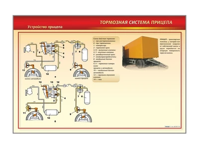 Стенд с разрезными агрегатами "Тормозная система прицепа" (категория "C") Zarnitza 1897020123